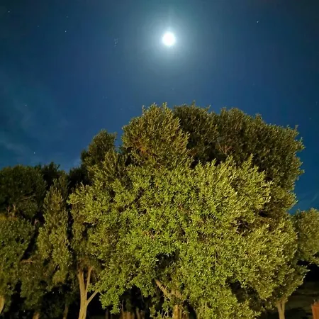 アパート Sequero #pet Friendly Tuineje