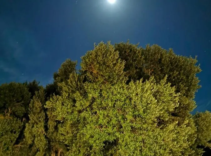 Апартаменты Sequero #pet Friendly Туйнехе