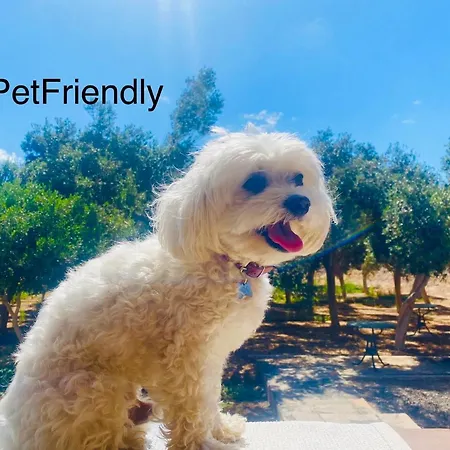Apartament Sequero #pet Friendly