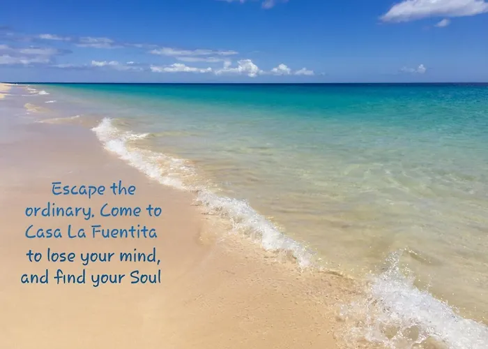 Sequero #pet Friendly Tuineje